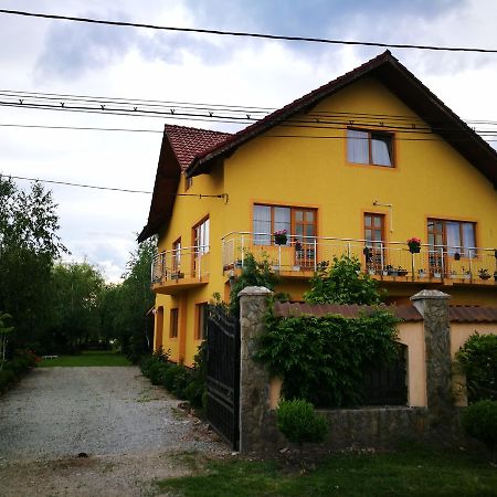 Pensiunea Ramona Cărpinişu Esterno foto