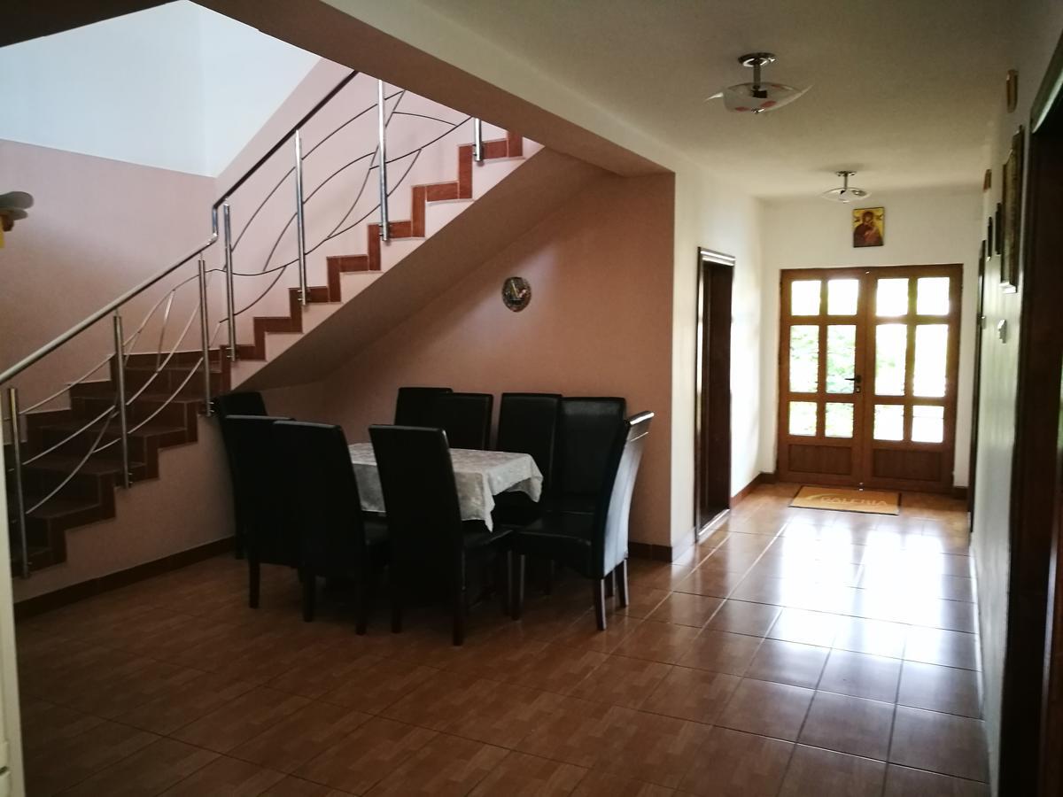 Pensiunea Ramona Cărpinişu Esterno foto