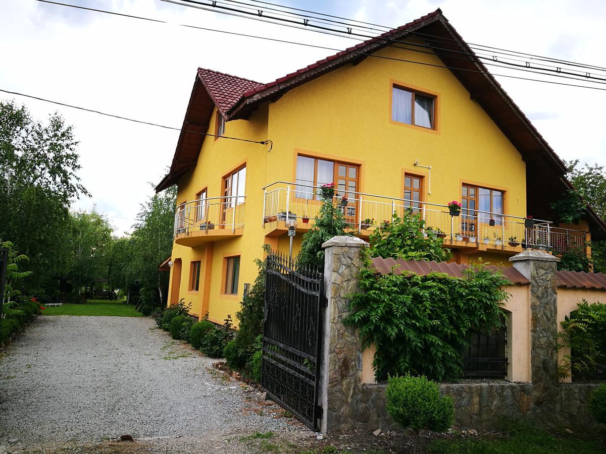 Pensiunea Ramona Cărpinişu Esterno foto