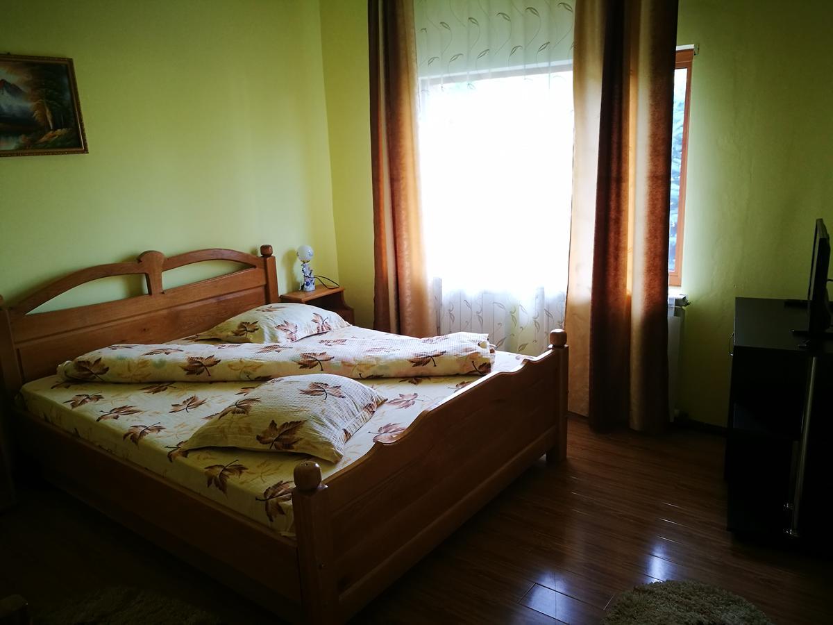 Pensiunea Ramona Cărpinişu Esterno foto
