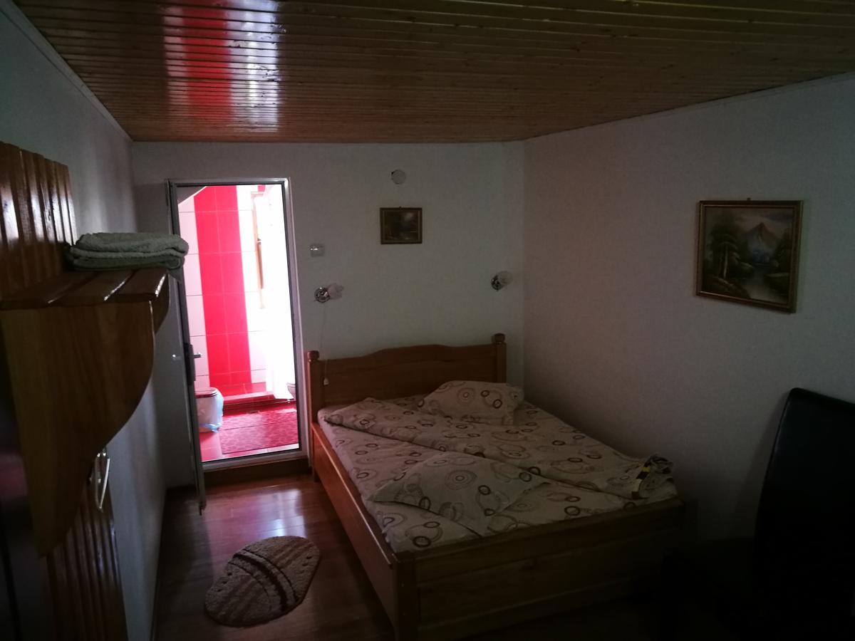 Pensiunea Ramona Cărpinişu Esterno foto