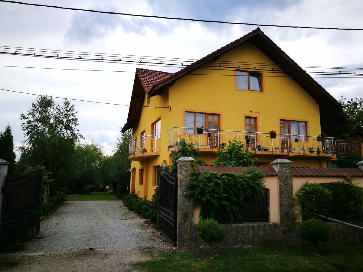 Pensiunea Ramona Cărpinişu Esterno foto