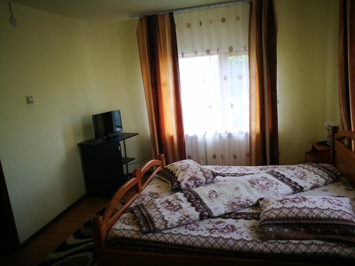 Pensiunea Ramona Cărpinişu Esterno foto