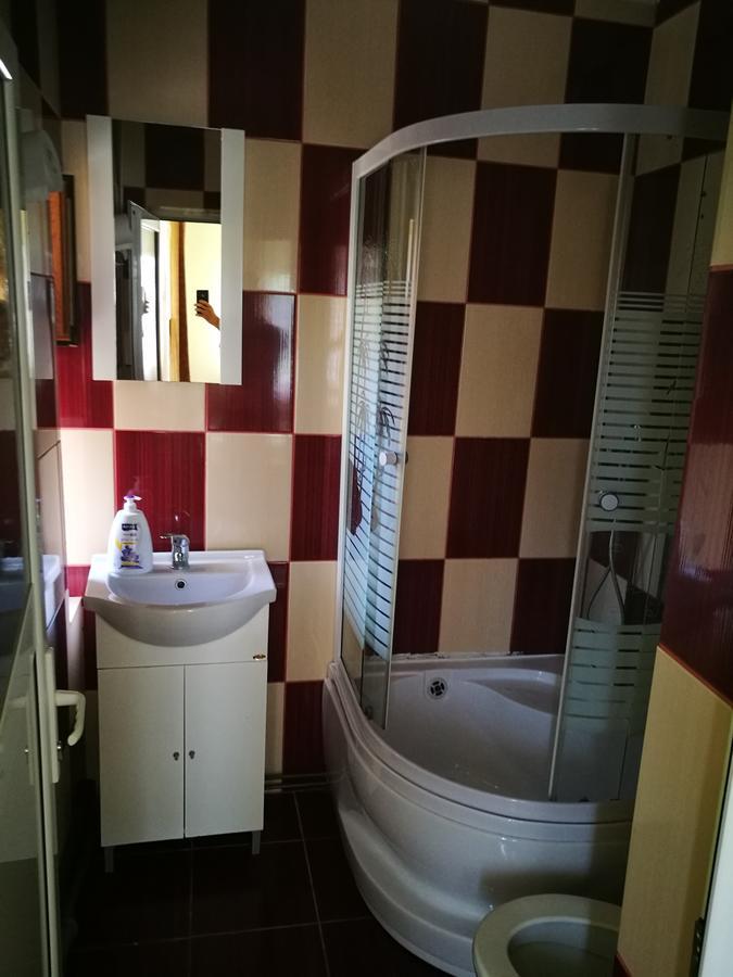Pensiunea Ramona Cărpinişu Esterno foto