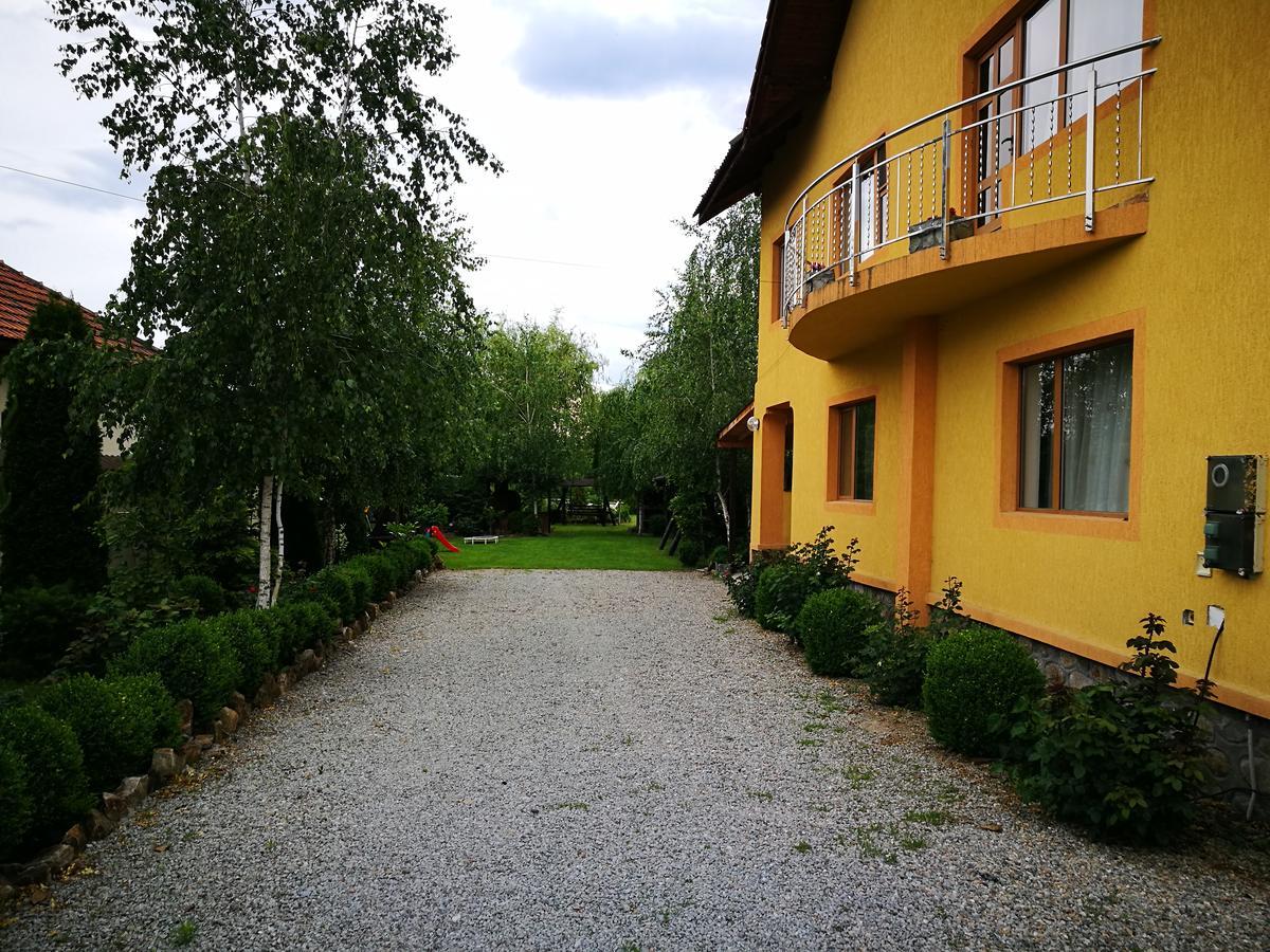 Pensiunea Ramona Cărpinişu Esterno foto