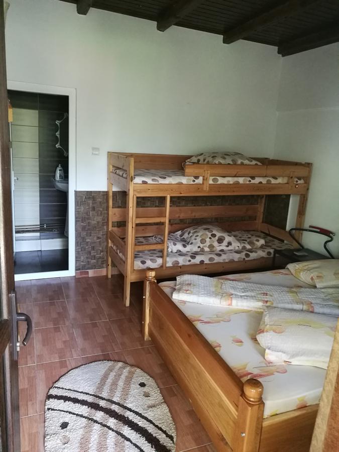 Pensiunea Ramona Cărpinişu Esterno foto
